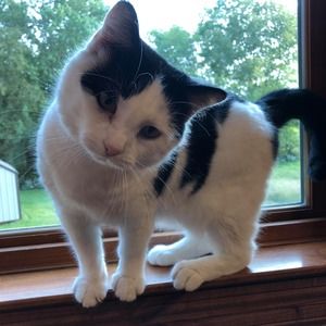 Meet your Posher, Michelle behrens